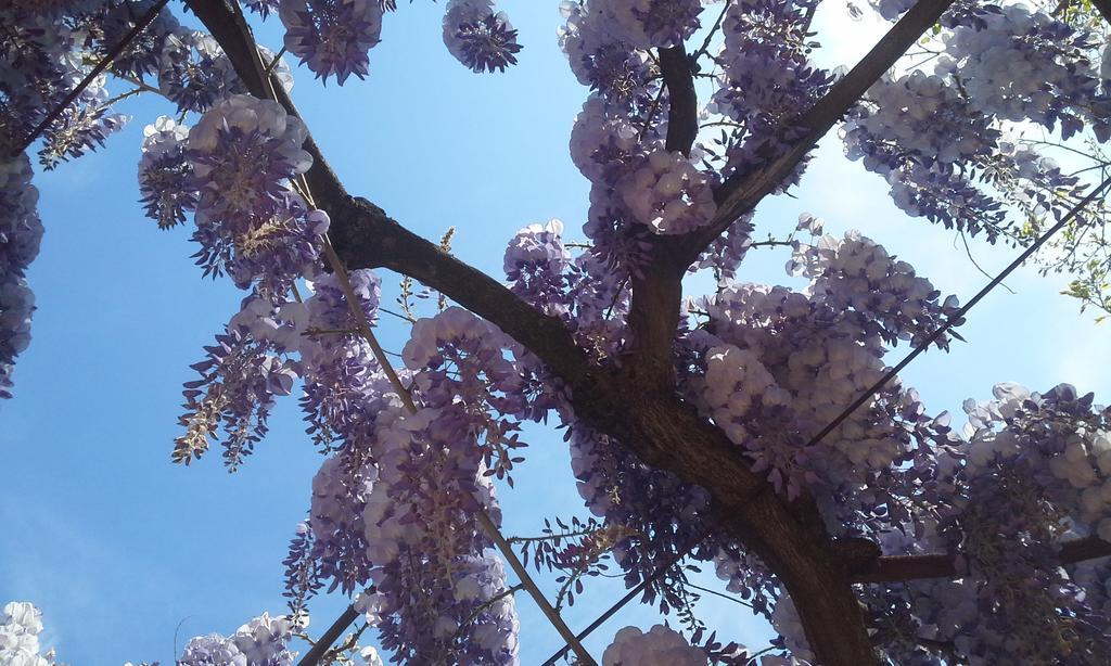 B&B Ai Tre Confini Monzambano Bagian luar foto